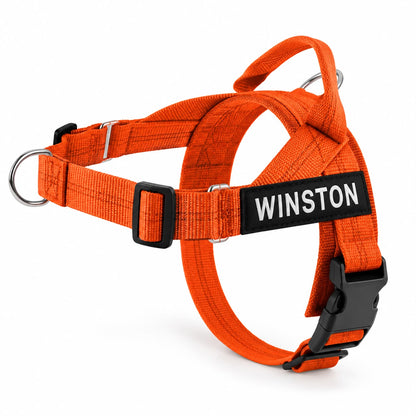Front-Clip No-Pull Harness