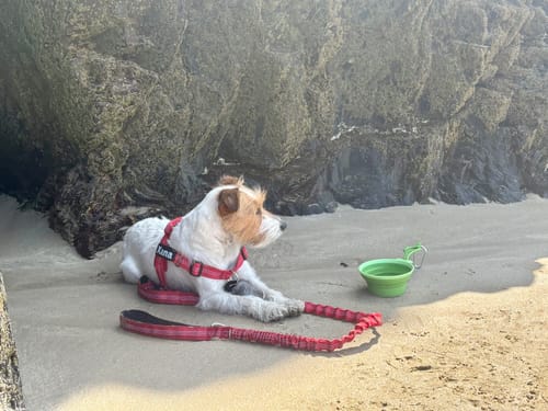 Beach most weekends. It rinses under the tap and hangs dry by the next morning. No stiff patches, no smell, nothing rubbing after a day on the sand.